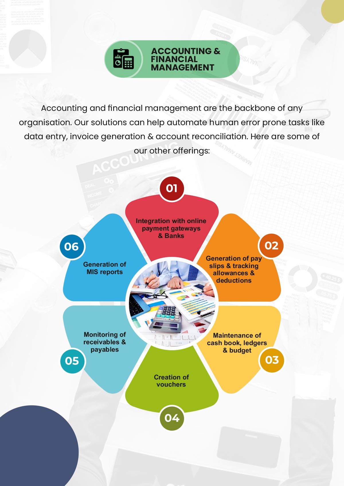 Accounting & Financial